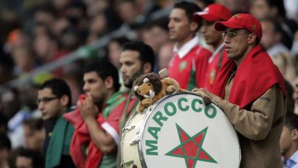 Спасибо каждому! — марокканец рассказал, как его спасли в зоопарке Калининграда | Русская весна