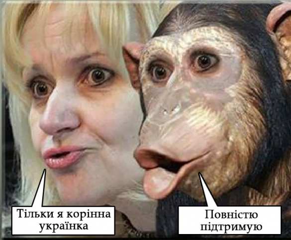 Сын ВСУшника — убийца украинской нацистки Фарион — подробности (ФОТО, ВИДЕО) | Русская весна