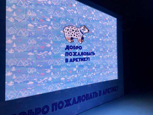 Арктические экологи против «творчества» наследников Бендера и Кисы Воробьянинова (ФОТО) | Русская весна