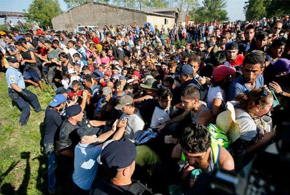 Сербия в ярости: Хорватия заблокировала грузоперевозки на границе из-за наплыва мигрантов | Русская весна