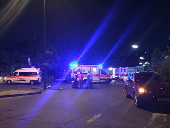 В Германии сотни человек ранены в Новый год, есть погибшие — Bild (ВИДЕО) | Русская весна