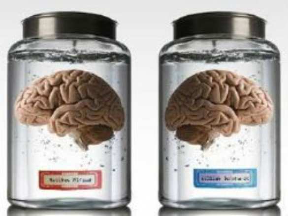 Сто банок с мозгами пропали из Техасского университета | Русская весна