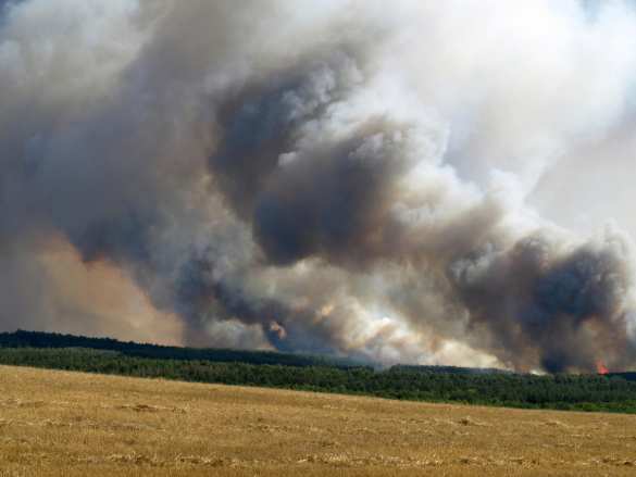 ВСУ обстреляли Зайцево, горит поле и дома | Русская весна