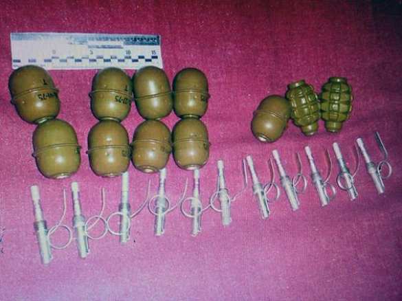 На Днепропетровщине военнослужащий ВСУ вез более 10 гранат в рейсовом автобусе (ВИДЕО) | Русская весна