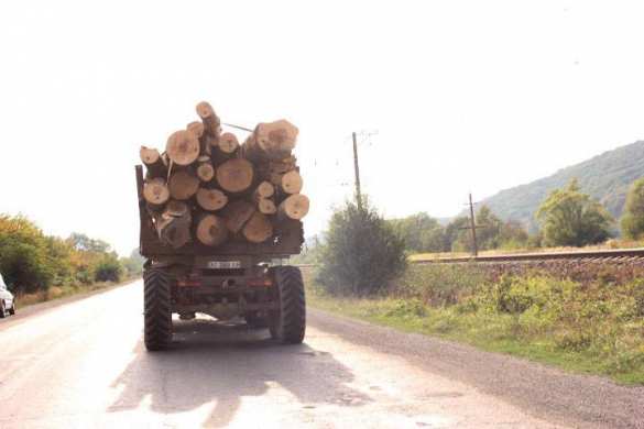Москаль соврал: лес в Закарпатье по-прежнему вывозят машинами (ФОТО) | Русская весна