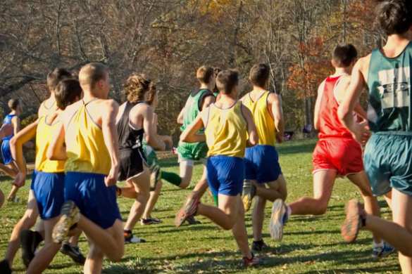 По всей России проходят спортивные шествия «Здоровое Отечество»: возрождая Дня физкультурника (ВИДЕО) | Русская весна