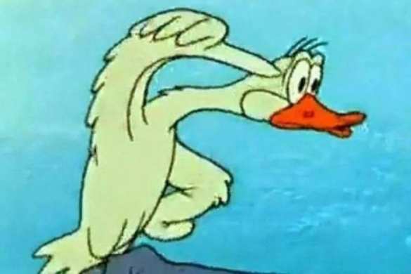 Неонацисту Юрию Берёзе разбили нос из-за кражи гусей  | Русская весна