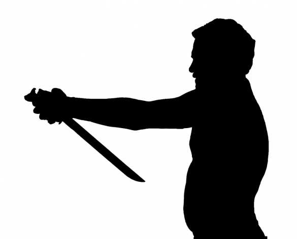 Введение санкций против России равнозначно совершению харакири, — мэр Тбилиси | Русская весна