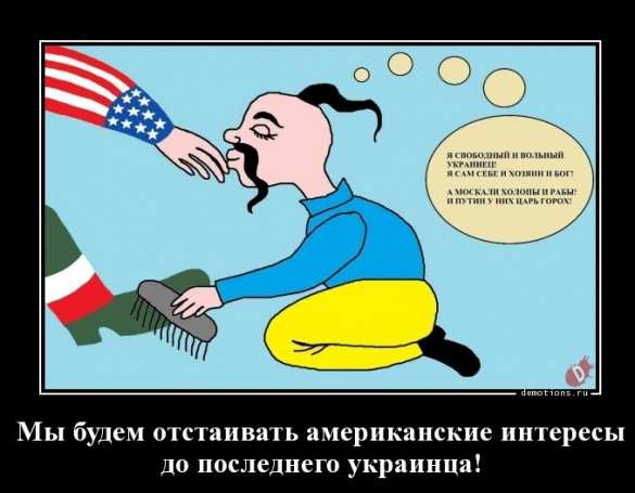 Глупый глава МИД Украины посмел назвать террористами США и страны Европы, — Стариков (ВИДЕО) | Русская весна