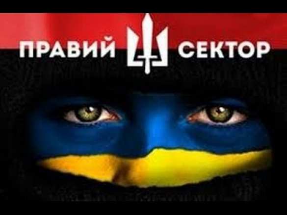 Степановка в огне: снайпер стрелял прямо в сердце — так заходила нацгвардия (видео) | Русская весна