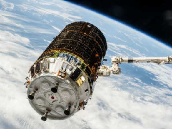 Гравитация на МКС. Пока — только для мышей | Русская весна