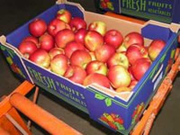 Пётр Порошенко ест яблоки назло Путину во время гуманитарной катастрофы на Донбассе (фото) | Русская весна