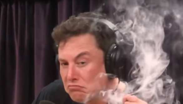 Илон Маск попробовал наркотик в прямом эфире (ФОТО) | Русская весна