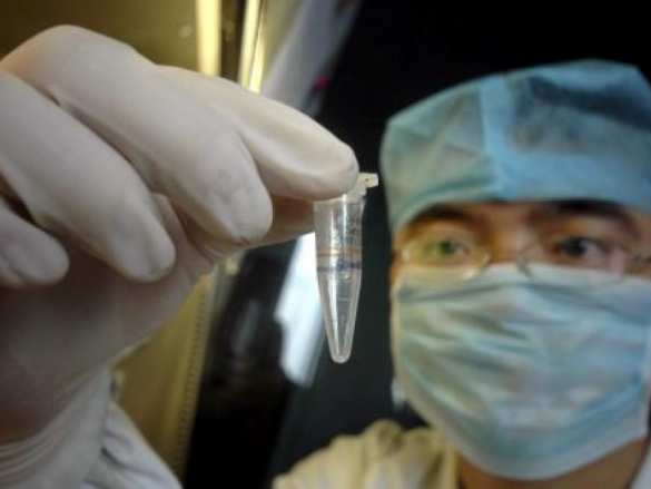 В Европе обнаружен вирус, способный убить миллионы человек | Русская весна