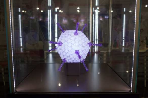 В Москве появился вирус размером с футбольный мяч (видео) | Русская весна