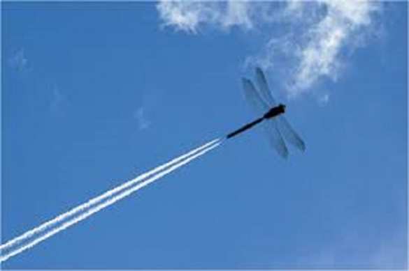 Брифинг ВСУ: Доказательство присутствия Российской авиации на Украине (ВИДЕО) | Русская весна