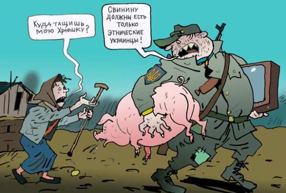 «Шлют ящиками», — украинские военные отправляют домой то, что привозят «волонтеры» (ФОТО) | Русская весна