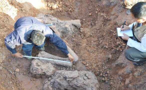 В Китае нашли следы динозавров, которым более 145 миллионов лет | Русская весна