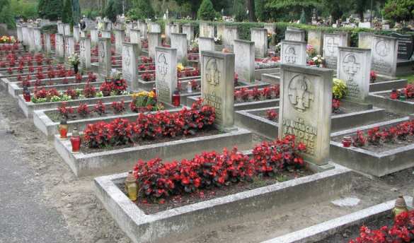 Польше нужны новые кладбища на Украине | Русская весна