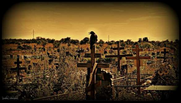 Украина вымирает: смертность почти вдвое превысила рождаемость (ДОКУМЕНТ) | Русская весна