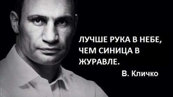 Життя по-новому: Вместо Путина и Меркель в Давос нагрянул киевский мэр Виталий «Дефолт» Кличко | Русская весна
