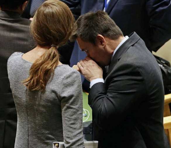 Тварь дрожащая перед белой госпожой — соцсети издеваются над Климкиным, лобызающим руки Пауэр (ФОТО) | Русская весна