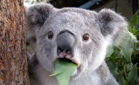 Зеленский рассказал об «экологической бомбе» на Донбассе и тяжёлой судьбе коал (ВИДЕО) | Русская весна