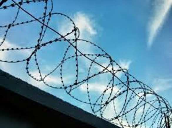 Латвийские власти  задумались над законностью идеи создания концлагерей для русских  | Русская весна