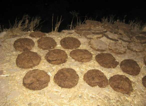 ВАЖНО: разведгруппа ВСУ самоуничтожилась, попав на минное поле | Русская весна