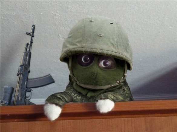 Двое пьяных мужчин вызвали скорую котенку в Северной Осетии | Русская весна