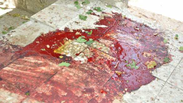 Suicide bomber torn to pieces: terrorist exploded during ID check Syrian Hama (VIDEO, PHOTOT 18+) | Русская весна