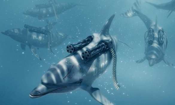 Почему погибли боевые дельфины ВМС Украины в Крыму, — стали известны подробности | Русская весна