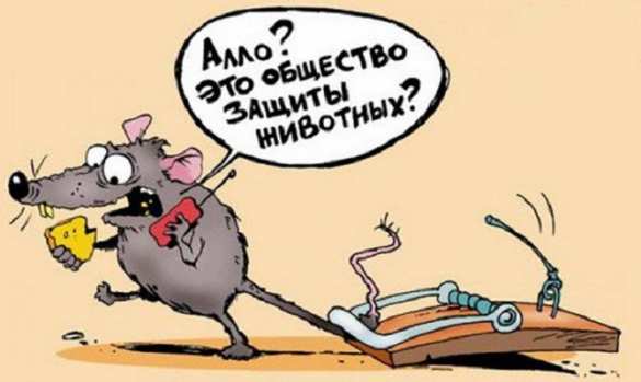 Украине прищемили хвост | Русская весна