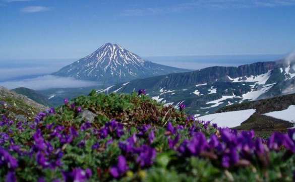 Россия вышла из соглашения с Японией об облегчённом посещении Курил | Русская весна