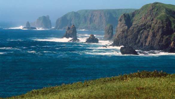 Глава МИД Японии высказался о плане Путина по Курилам: реакция русских | Русская весна