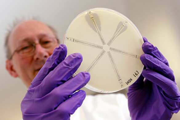 Неуязвимые для любых антибиотиков бактерии начали распространяться по планете | Русская весна