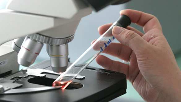 В Сибири создан метод быстрого определения гепатита | Русская весна