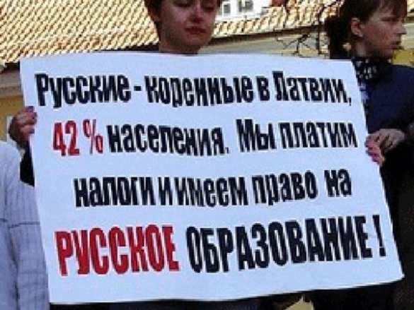 Доброволец: в Латвии, как и на Украине, ущемляют права русских граждан (ВИДЕО) | Русская весна