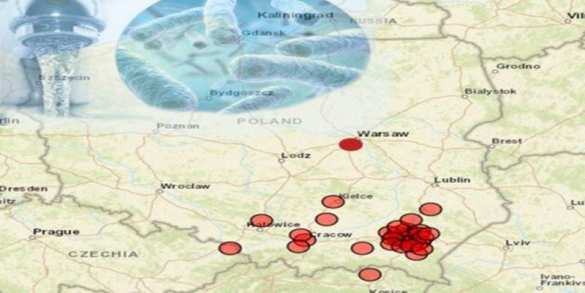 Легионеллёз в Польше: опасность возрастает | Русская весна