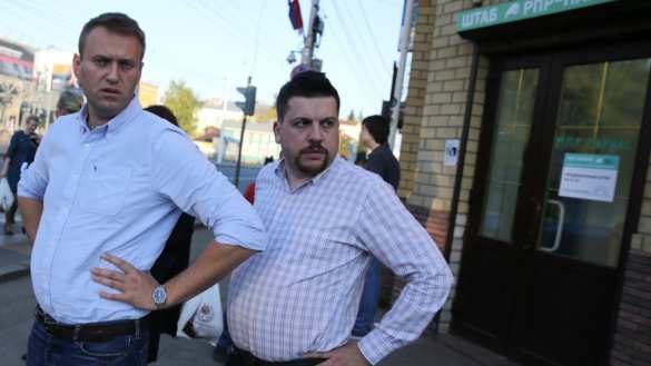 Главу штаба Навального заподозрили в создании вирусов и плагиате (ДОКУМЕНТ) | Русская весна