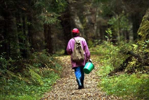 МВД раскрыло страшное убийство ребёнка, совершённое 16 лет назад | Русская весна