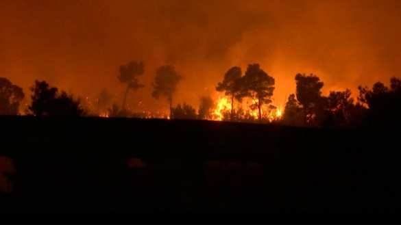 Нардеп Верховной рады обвинил Россию в «поджоге» Греции | Русская весна