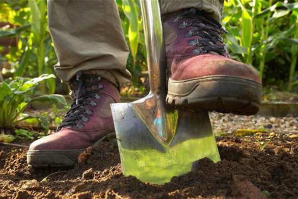 Украинцы нашли в лесу автомобиль с трупами, тела закопали, а машину пустили на разборку | Русская весна