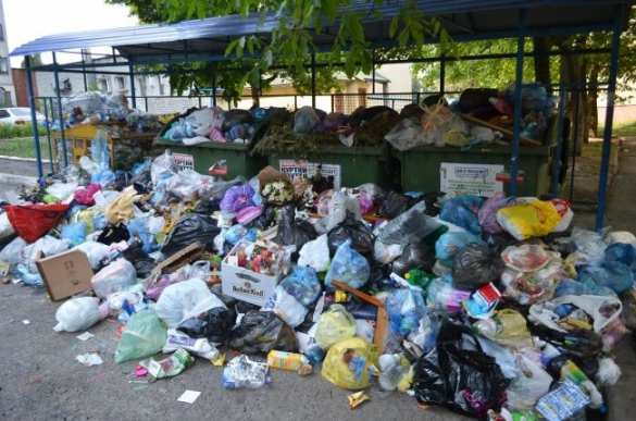 Львов утопает в мусоре: шокирующие кадры из «культурной столицы» Украины (ФОТО, ВИДЕО) | Русская весна