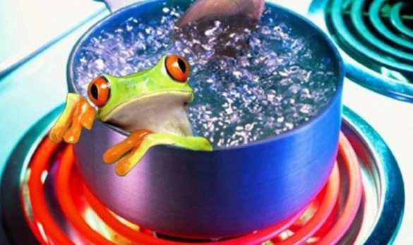 «Мы движемся к гибели»: Учёные сравнили человечество с лягушкой в кипятке | Русская весна