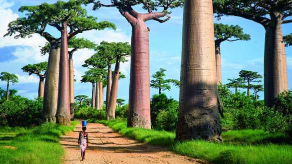 Учёные нашли животное, которое считалось вымершим (ФОТО, ВИДЕО) | Русская весна