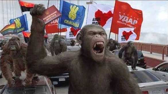 Это Украина: протесты в Киеве закончились стрельбой (ФОТО, ВИДЕО) | Русская весна