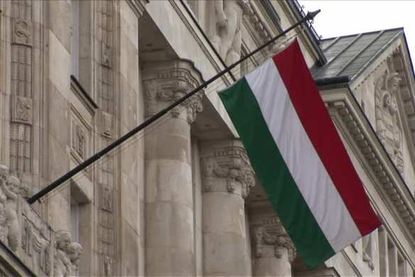 Украинские неонацисты сорвали венгерский флаг с горсовета на Закарпатье (ВИДЕО) | Русская весна