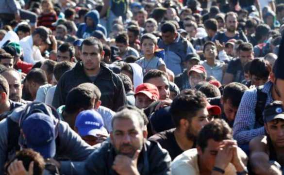 Германия получит 1,5 миллиона мигрантов к концу года | Русская весна