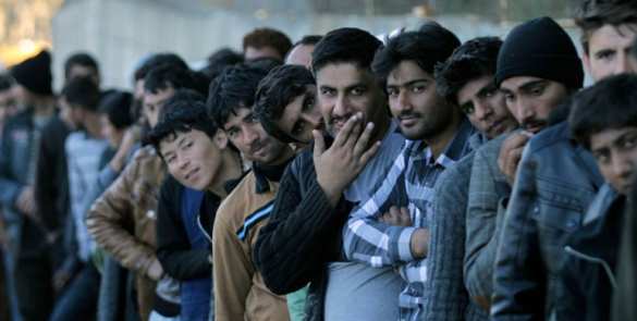 Власти планируют внедрить программу «управляемого найма» мигрантов | Русская весна